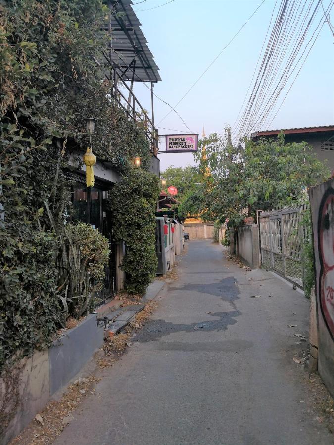 Purple Monkey Backpackers Chiang Mai Hostel Εξωτερικό φωτογραφία
