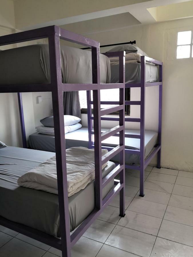 Purple Monkey Backpackers Chiang Mai Hostel Εξωτερικό φωτογραφία